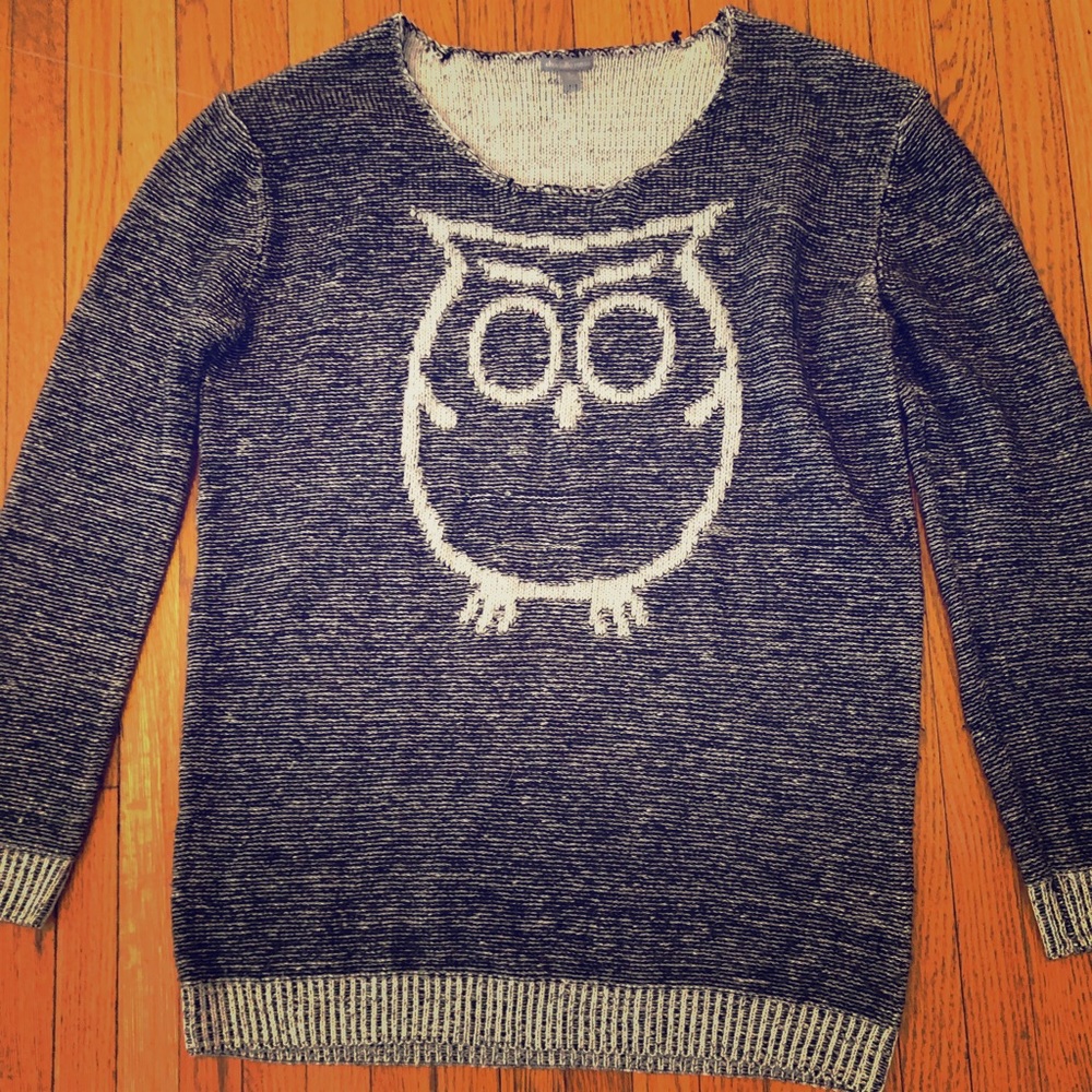 Charlotte Russe owl sweater